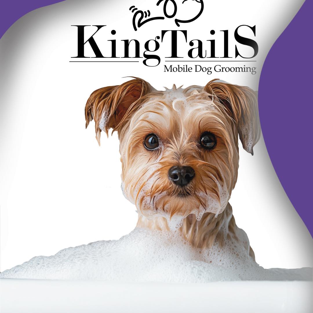 King Tails