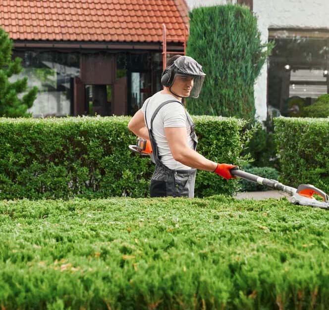 Imagine Profil Contractor